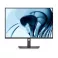 24 inch P2426 100Hz Professional IPS monitor 