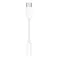 Apple USB-C to 3.5 mm Headphone Jack Adapter