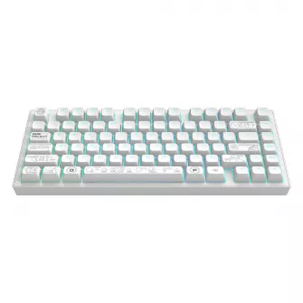 Gejmerske tastature - Dark Project ALU Terra Nova R2 White - Wireless Gaming Keyboard (ANSI)