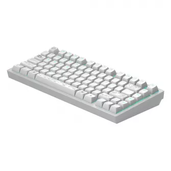 Gejmerske tastature - Dark Project ALU Terra Nova R2 White - Wireless Gaming Keyboard (ANSI)