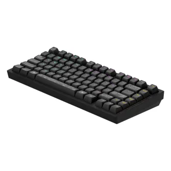 Gejmerske tastature - Dark Project ALU Terra Nova R2 Black - Wireless Gaming Keyboard (ANSI)