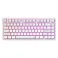 Dark Project ALU Terra Nostra R2 White - Wired Gaming Keyboard (ANSI)