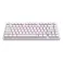 Dark Project ALU Terra Nostra R2 White - Wired Gaming Keyboard (ANSI)