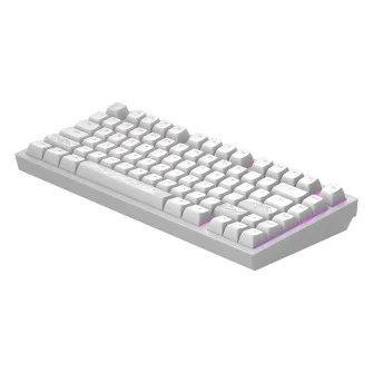 Gejmerske tastature - Dark Project ALU Terra Nostra R2 White - Wired Gaming Keyboard (ANSI)