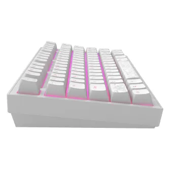 Gejmerske tastature - Dark Project ALU Terra Nostra R2 White - Wired Gaming Keyboard (ANSI)