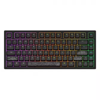 Gejmerske tastature - Dark Project ALU Terra Nostra R2 Black - Wired Gaming Keyboard (ANSI)