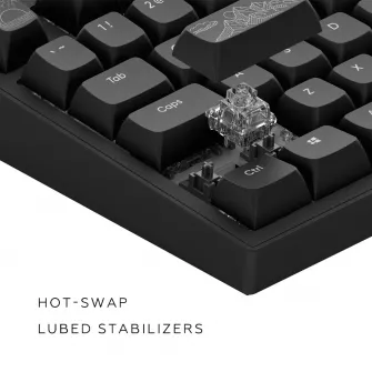 Gejmerske tastature - Dark Project ALU Terra Nostra R2 Black - Wired Gaming Keyboard (ANSI)