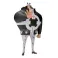 One Piece - DXF The Grandline Series Bartholomew Kuma (17 cm)