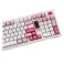 Akko 5098B Plus Prunus Lannesiana - Mechanical Gaming Keyboard