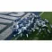 Switch 2 EA SPORTS: Madden NFL 27