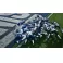 PS5 EA SPORTS: Madden NFL 27
