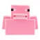 Pig Bath Duck