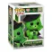 Funko POP! Movies: Care Bears x Wicked - Good Luck Bear As Elphaba
