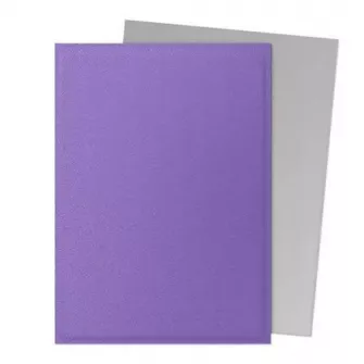 Oprema za kolekcionarske kartice - Dragon Shield Dual Matte Sleeves - Nebula & Silver (100 Sleeves)