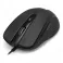 DeskMouse Curve Essential (BM-2775)