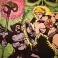 Masters Of The Universe - Limited Edition He-Man & Skeletor Art Print