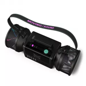 PHILIPS TAMS80B/00  BT ZVUCNIK