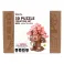 Rolife Sakura Tree House 3D Wooden Puzzle