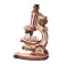 ROKR Microscope Wooden Puzzle