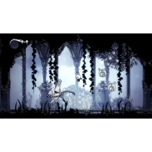 PS5 Hollow Knight