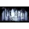 PS5 Hollow Knight