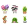 Funko POP! Mystery: Plants 6PC PDQ