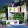 Funko POP! Mystery: Plants 6PC PDQ