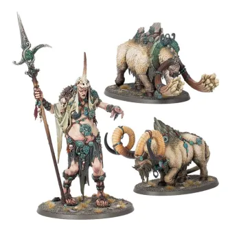 Warhammer figurice - S/B: Ma Maegran Chooser of the Mighty
