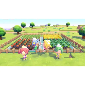 Switch 2 Pokemon Pokopia (GKC)