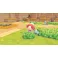 Switch 2 Pokemon Pokopia (GKC)
