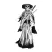 Shadowed Samurai by Rob Bowyer