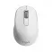 Travel Wireless Mouse White