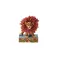 Just Can't Wait To Be King Simba