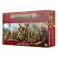 Warhammer Age of Sigmar Ultimate Starter Set