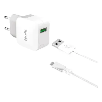 Punjači i adapteri - Wall Charger 2.4A USB-C+Micro USB cable