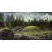 PS4 Far Cry Primal Standard Edition