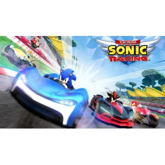 Nintendo Switch igre - Switch Team Sonic Racing