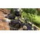 XBOXONE Apex Legends - Lifeline Edition