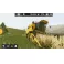 Switch Farming Simulator 20