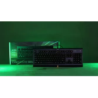 Gejmerske tastature - Cynosa Lite - Essential Gaming Keyboard - US