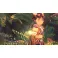 Switch Monster Hunter Stories 2: Wings of Ruin
