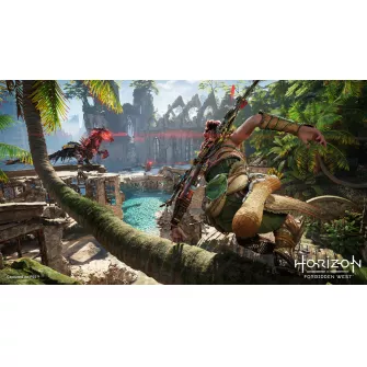 Playstation 4 igre - PS4 Horizon Forbidden West