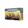 Orks: Squighog Boyz