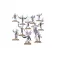 Hedonites of Slaanesh: Daemonettes
