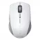 Pro Click Mini Wireless Mouse