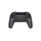 Nintendo Switch Pro Controller