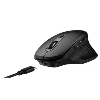 Kancelarijski miševi - Ergo Pro Wireless Mouse