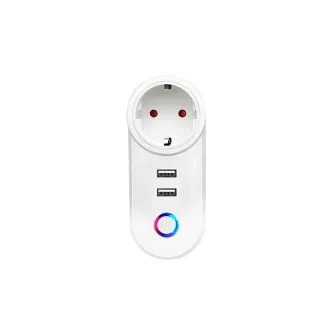 Smart prekidači i utičnice - Voltaic WiFi Smart Socket with 2 USB Ports