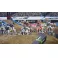 XBOXONE/XSX Monster Energy Supercross - The Official Videogame 5