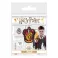 Harry Potter (Gryffindor) Enamel Pin Badge